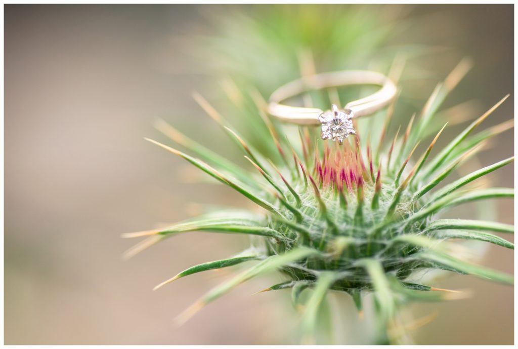 Sonoran Desert Engagement Ring on Thistle