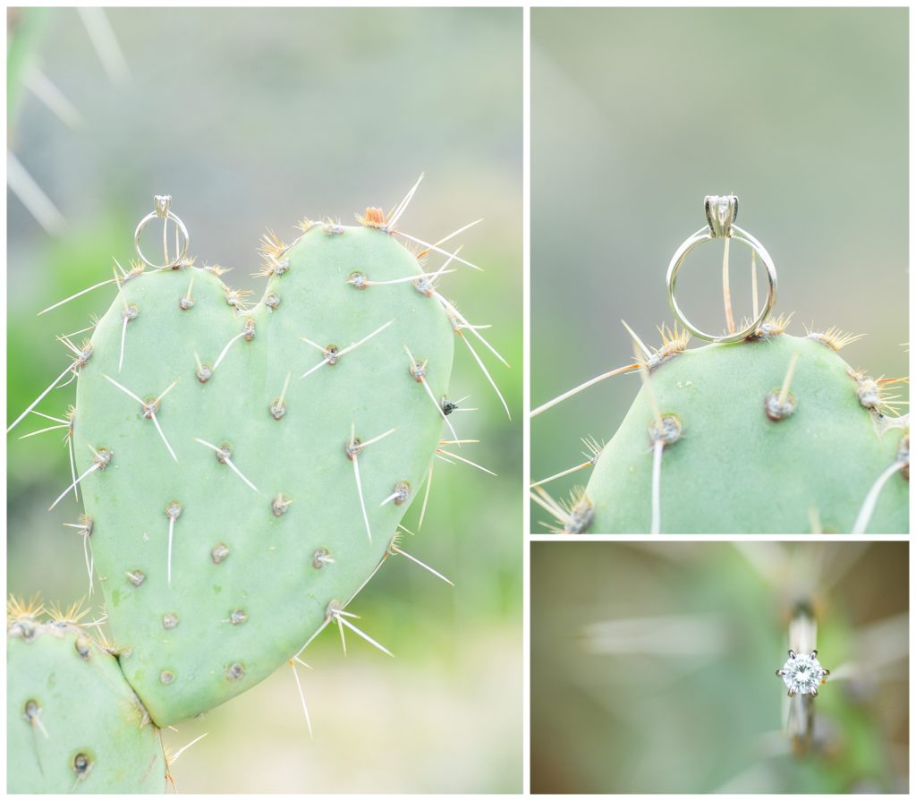 Sonoran Desert Engagement Ring on Prickly Pear